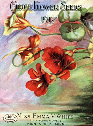 Pdxc1524 -- Flower Seed Catalogs Color Illustration