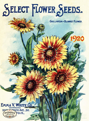 Pdxc1526 -- Seed Catalog Flowers Color Illustration