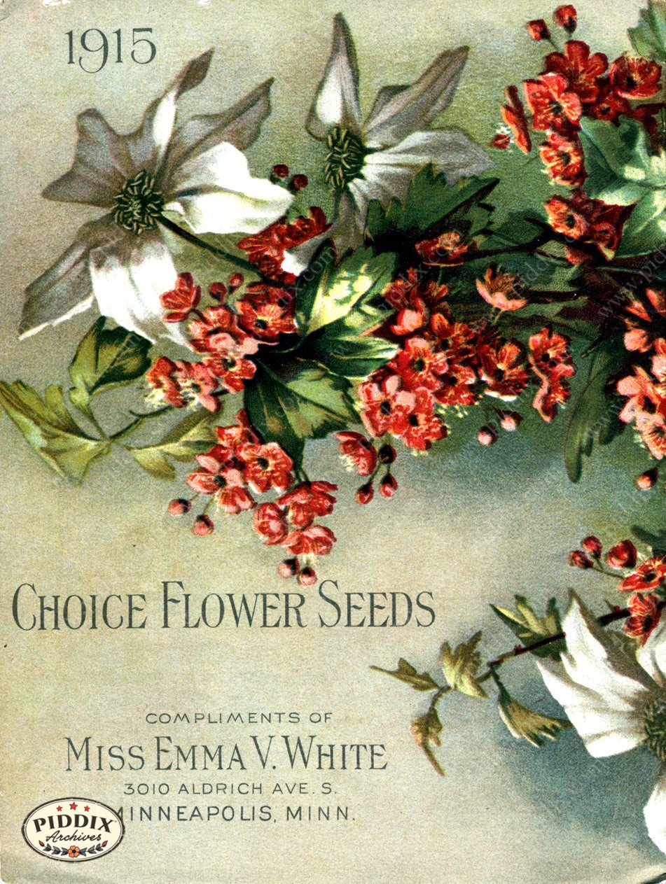 Pdxc1528 -- Flower Seed Catalogs Color Illustration