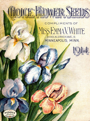 Pdxc1529 -- Flower Seed Catalogs Color Illustration