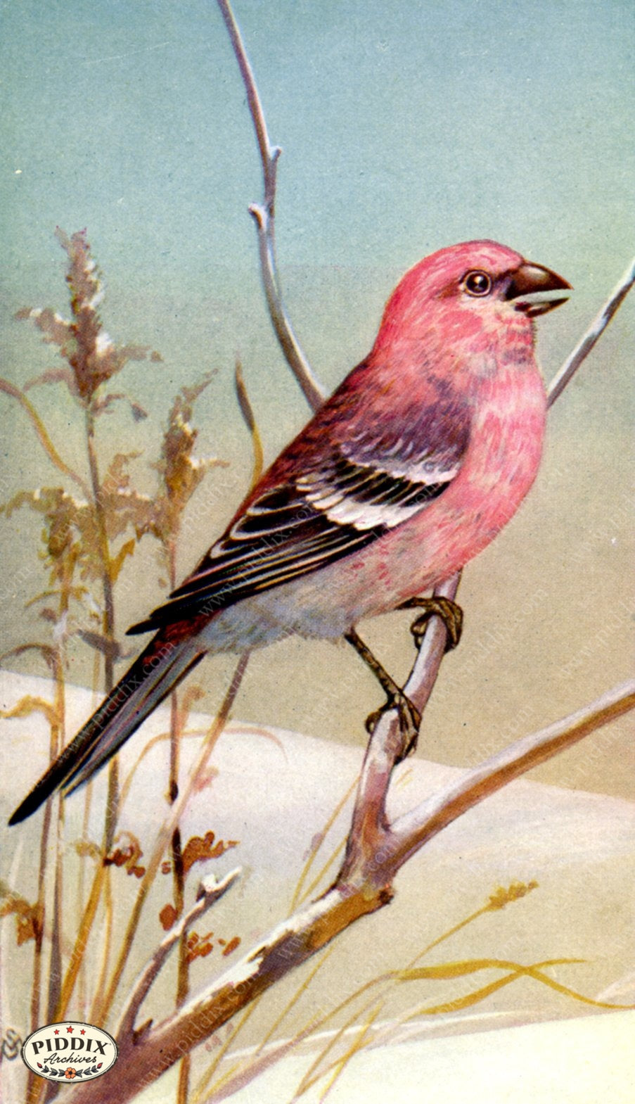 Pdxc15318 -- New For June Color Illustration