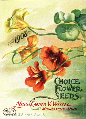 Pdxc1533 -- Flower Seed Catalogs Color Illustration