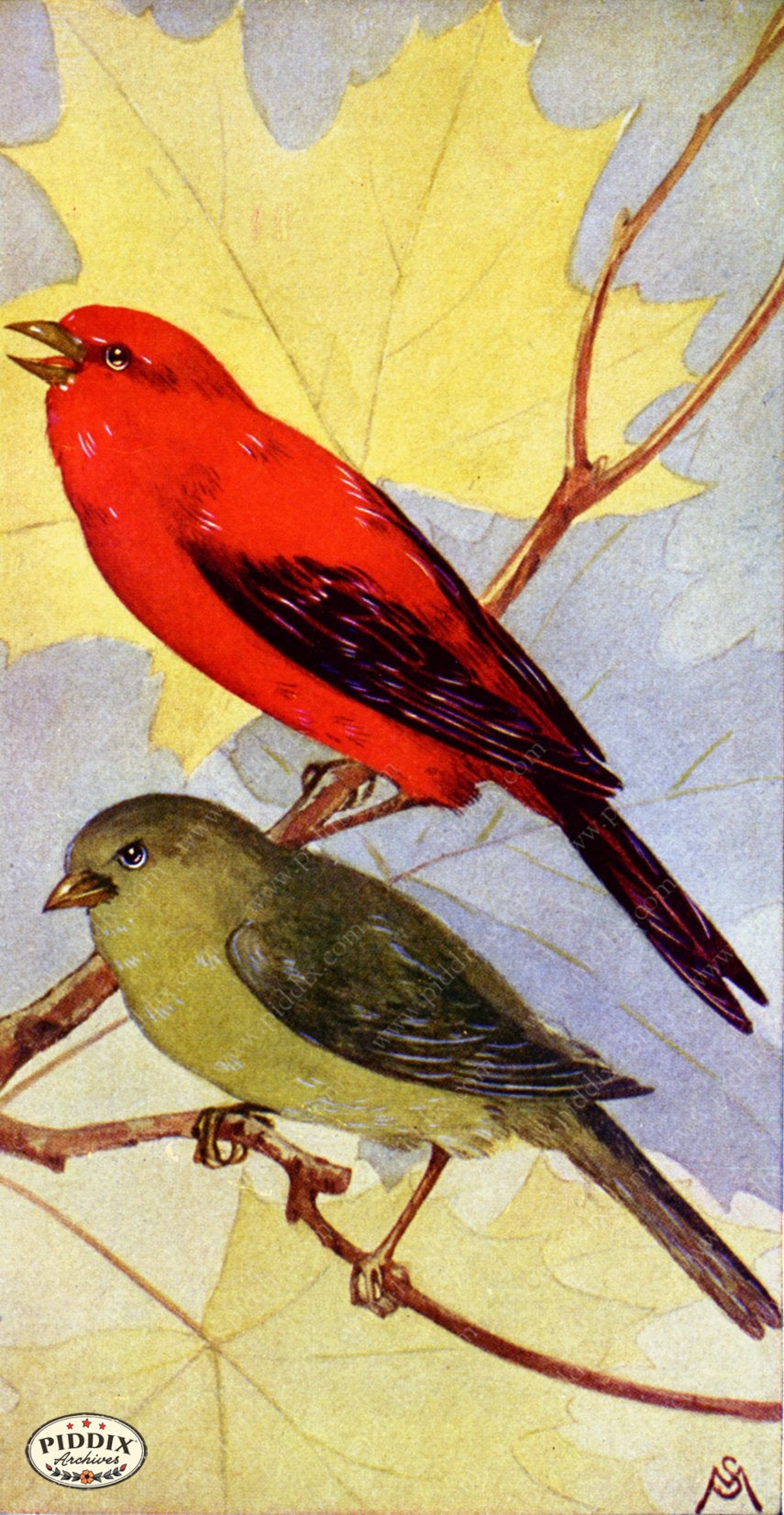 Pdxc15335 -- New For June Color Illustration