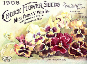 Pdxc1534 -- Flower Seed Catalogs Color Illustration