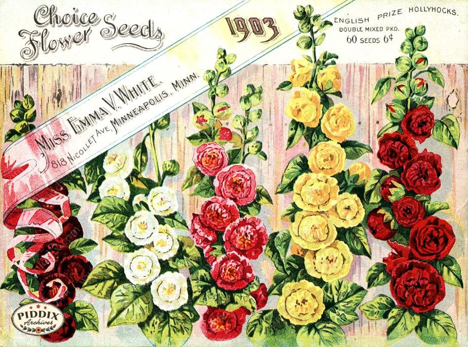 Pdxc1535 -- Flower Seed Catalogs Color Illustration