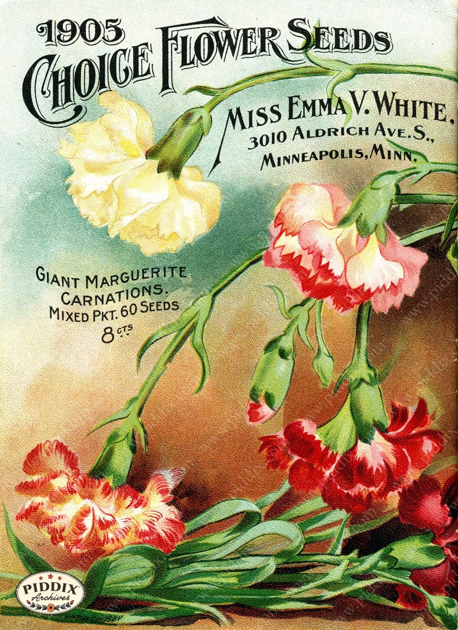 Pdxc1536 -- Flower Seed Catalogs Color Illustration