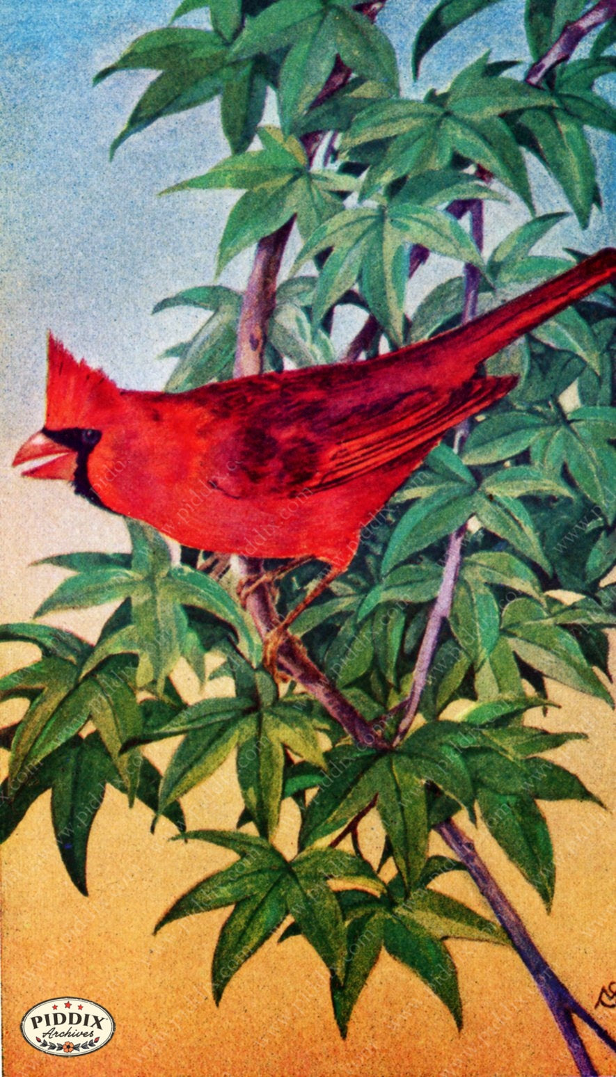 Pdxc15361 -- New For June Color Illustration