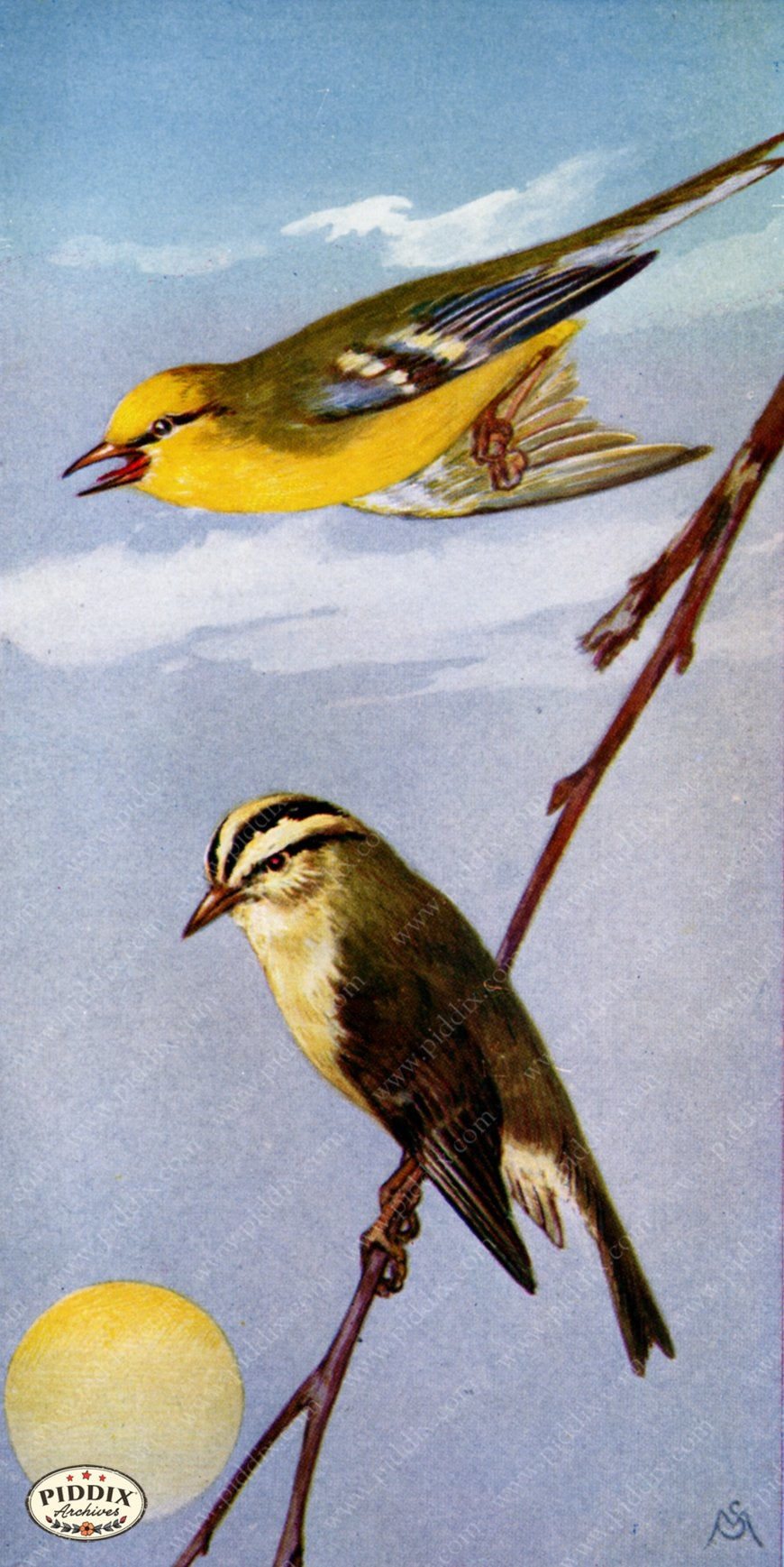 Pdxc15362 -- New For June Color Illustration