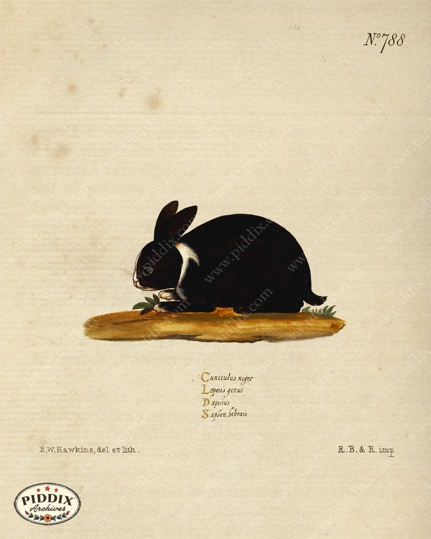 Pdxc15370 -- New For November Color Illustration