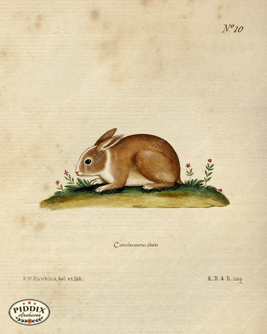 Pdxc15371 -- New For November Color Illustration