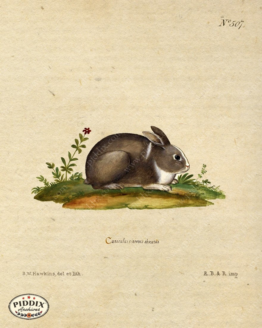 Pdxc15372 -- New For November Color Illustration