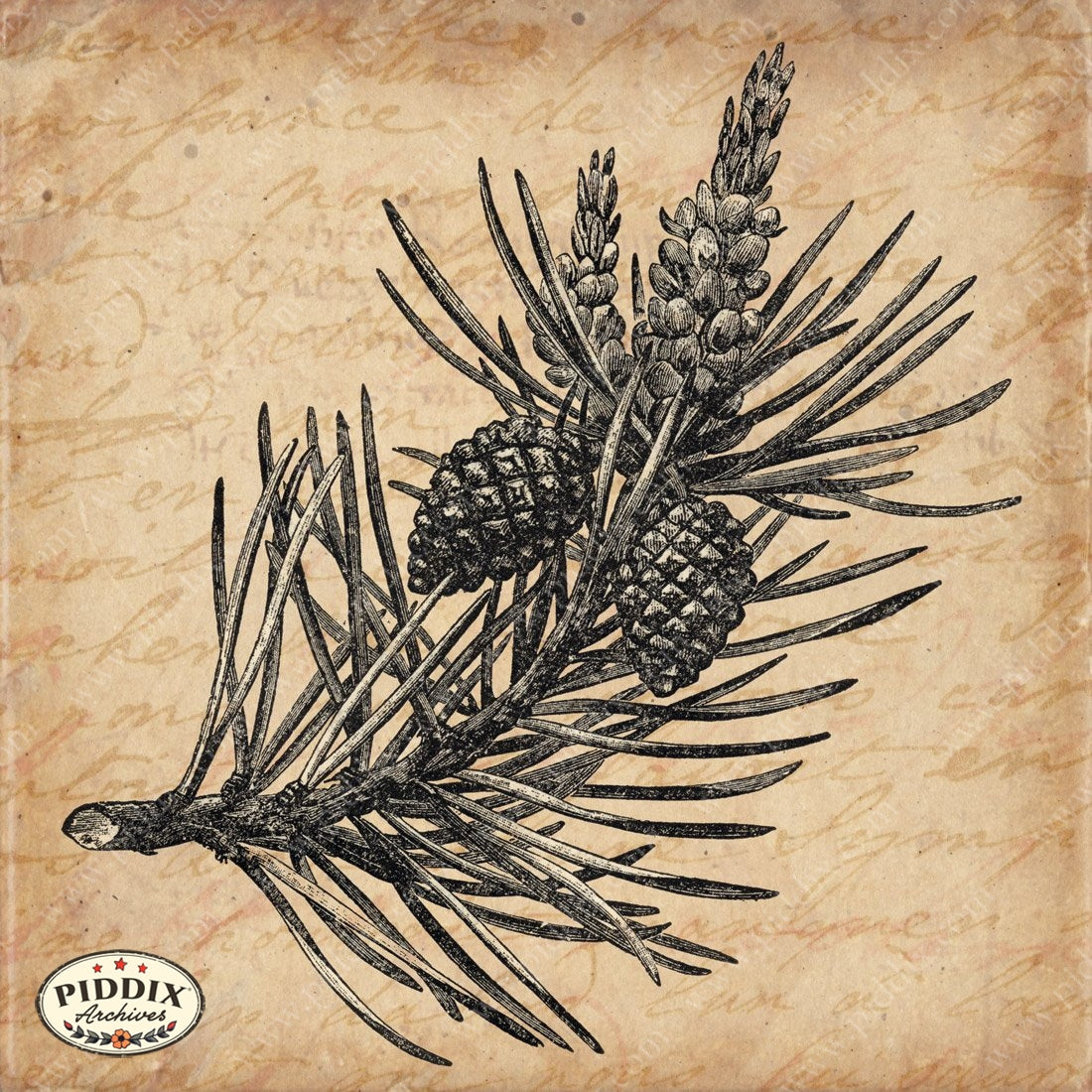 Pdxc15375 -- New For November Color Illustration