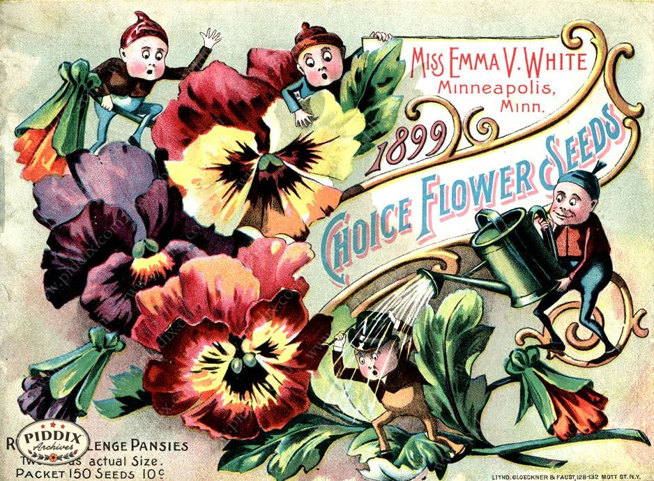 flower seeds catalogs PDXC1539 -- Flower Seed Catalogs