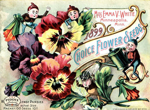 Pdxc1539 -- Flower Seed Catalogs Color Illustration