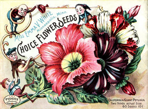 Pdxc1540 -- Flower Seed Catalogs Color Illustration