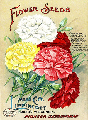 Pdxc1542 -- Flower Seed Catalogs Color Illustration