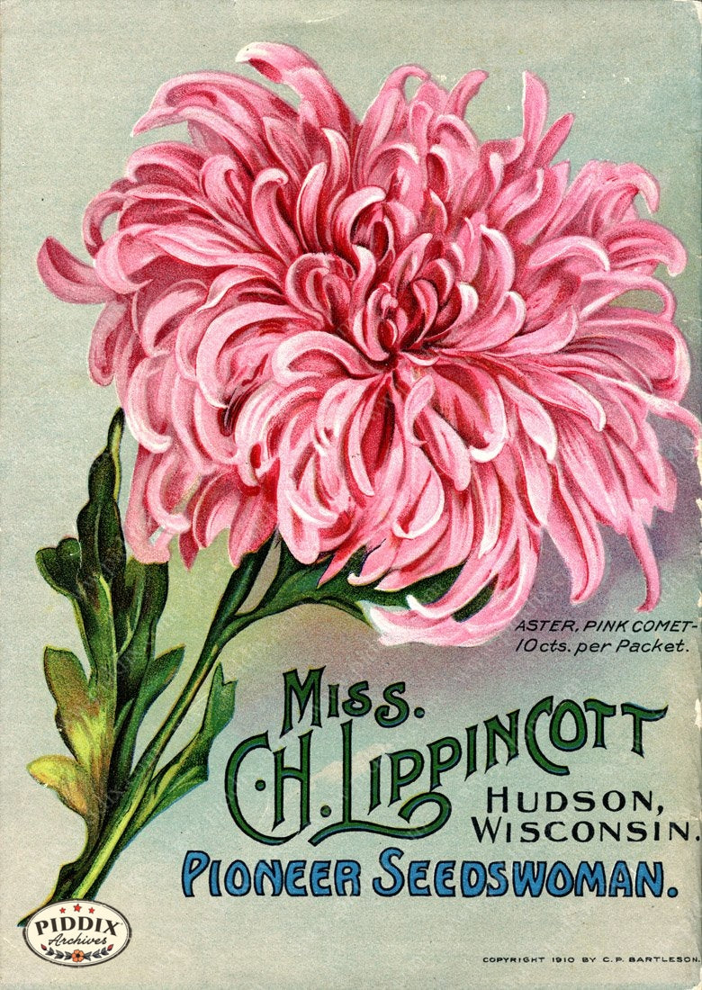 Pdxc1543 -- Flower Seed Catalogs Color Illustration