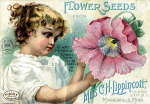 Pdxc1545 -- Flower Seed Catalogs Color Illustration