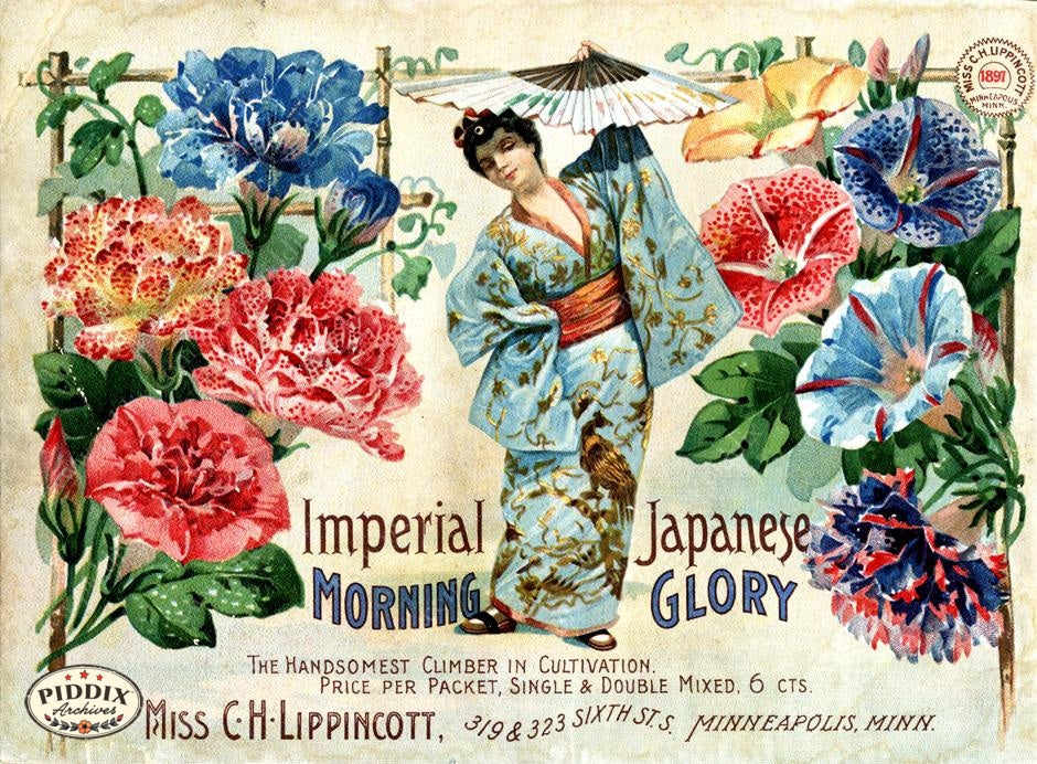 Pdxc1546 -- Flower Seed Catalogs Color Illustration