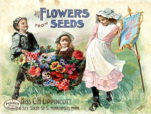 Pdxc1547 -- Flower Seed Catalogs Color Illustration
