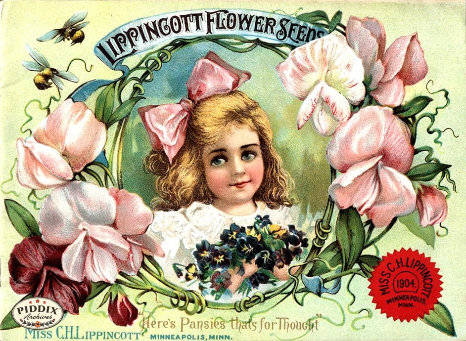 Pdxc1548 -- Flower Seed Catalogs Color Illustration