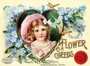 Pdxc1549 -- Flower Seed Catalogs Color Illustration