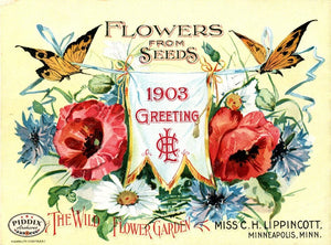 Pdxc1551 -- Flower Seed Catalogs Color Illustration