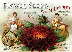 Pdxc1553 -- Flower Seed Catalogs Color Illustration