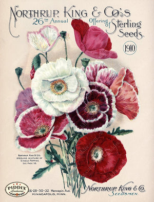 PDXC1558 -- Flower Seed Catalogs Color Illustration