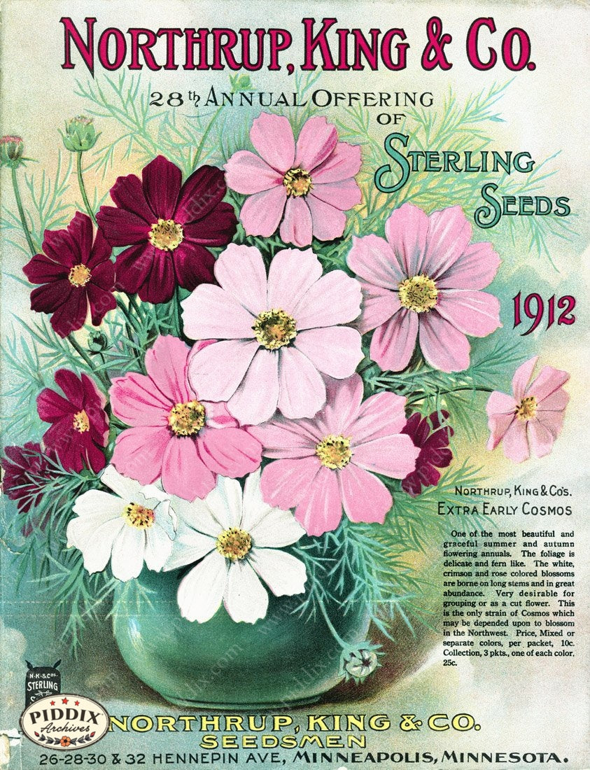 Pdxc1562 -- Flower Seed Catalogs Color Illustration
