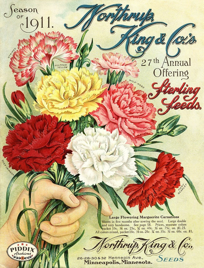 antique flower seed packets PDXC1564 -- Flower Seed Catalogs