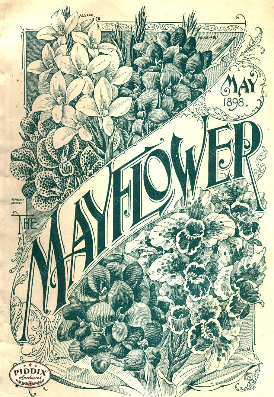 Pdxc1565 -- Flower Seed Catalogs Color Illustration