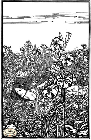 Pdxc15672-- Black & White Fairy Tales Black & White Engraving
