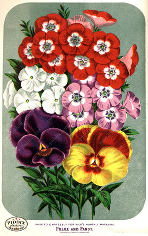 Pdxc1580 -- Flower Seed Catalogs Color Illustration