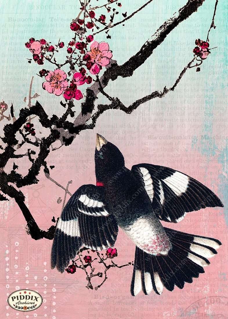 PDXC15911c -- Birds Color Illustration