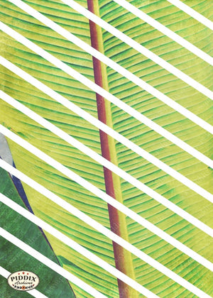 Pdxc16198 -- Tropical Breeze Original Art