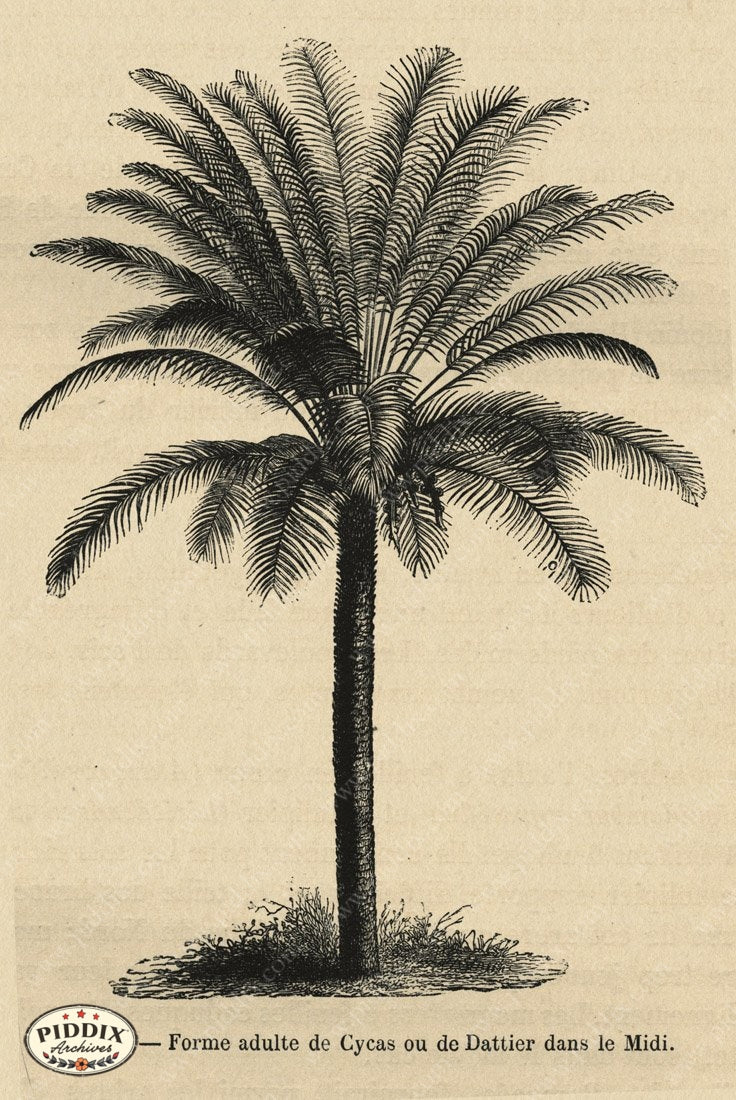 Pdxc1714 -- New For November Color Illustration