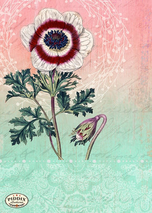 Pdxc1796G -- Flowers Original Art