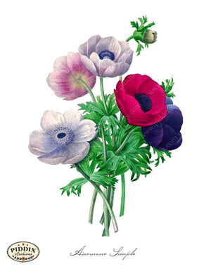 Pdxc18056B -- Bright Vintage Flowers Color Illustration