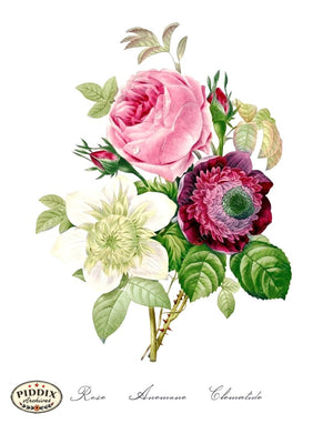 Pdxc18091B -- Bright Vintage Flowers Color Illustration