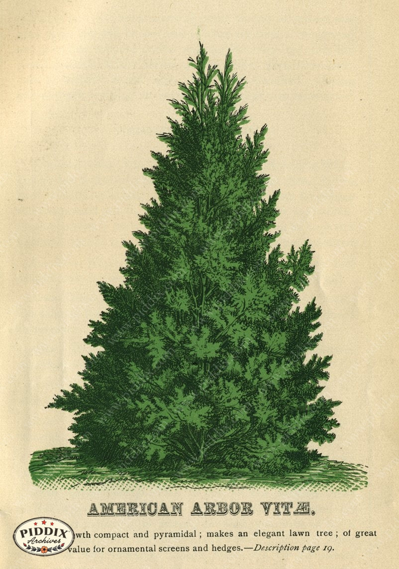 Pdxc1828 -- New For November Color Illustration