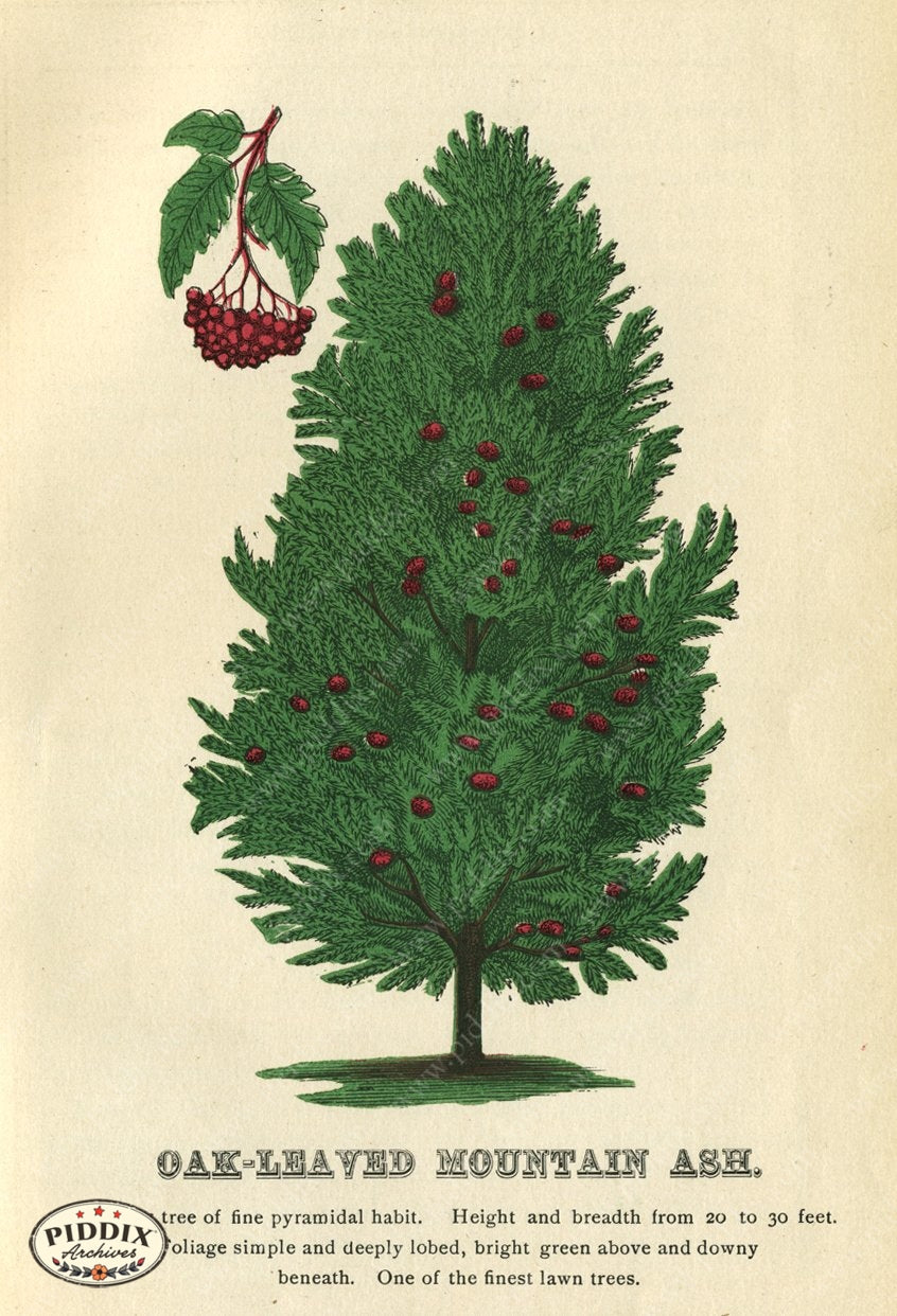 Pdxc1830 -- New For November Color Illustration