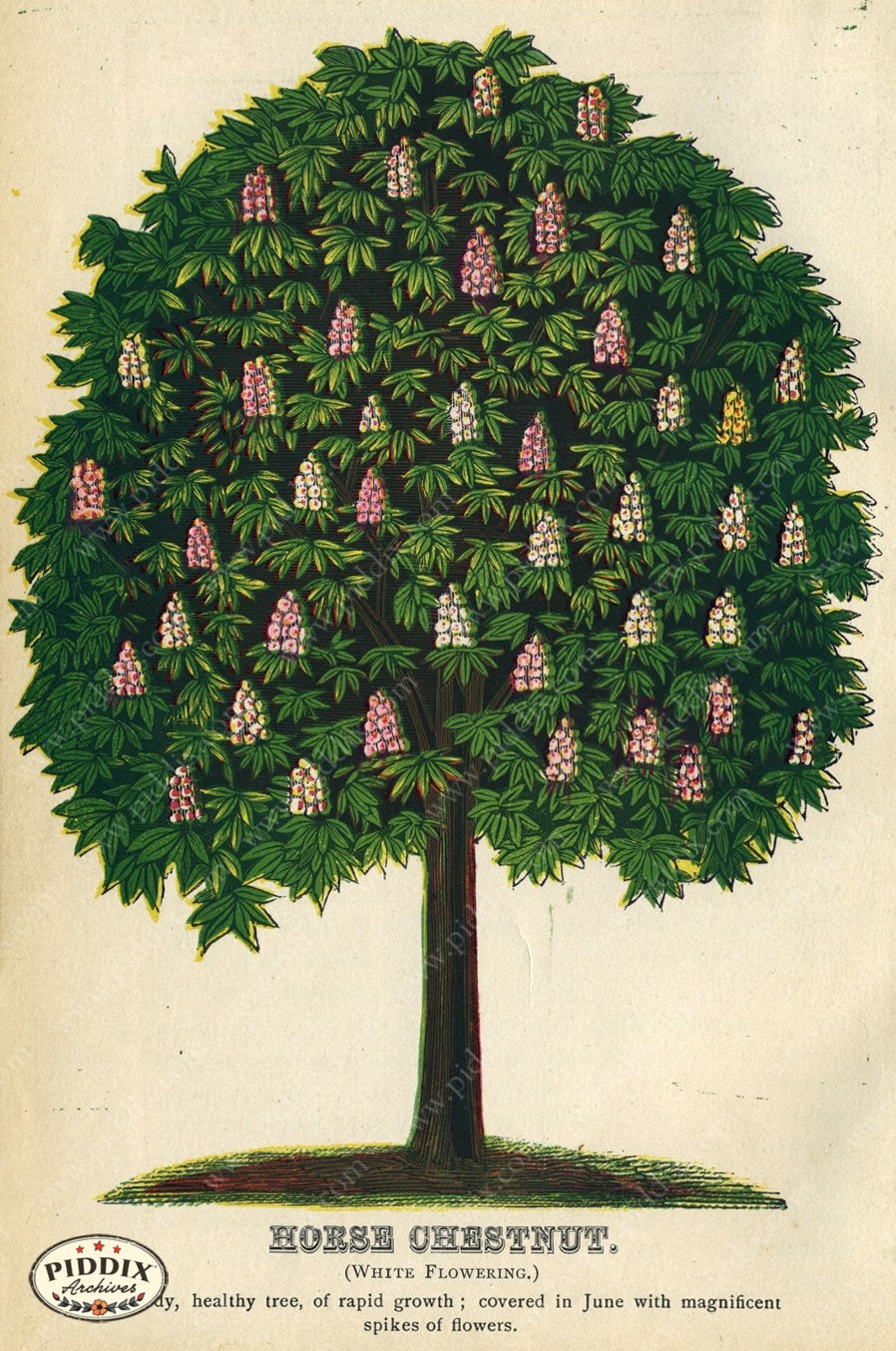 Pdxc1832 -- New For November Color Illustration