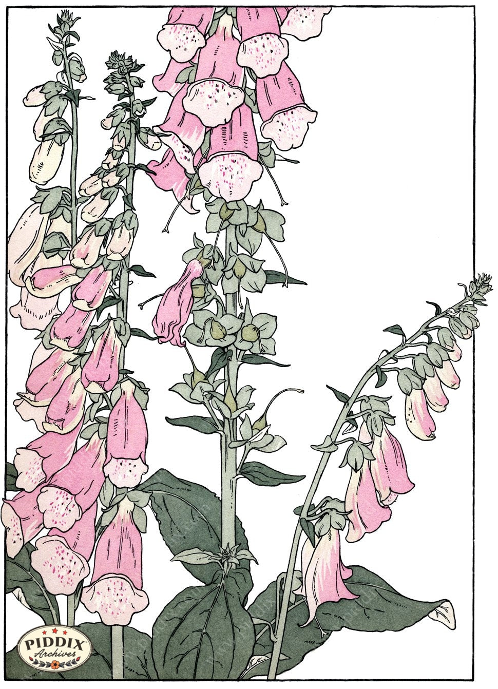 Pdxc1853 -- New For November Color Illustration