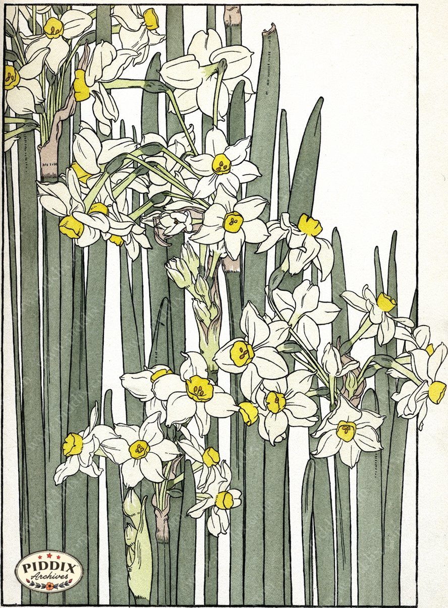 Pdxc1864 -- New For November Color Illustration