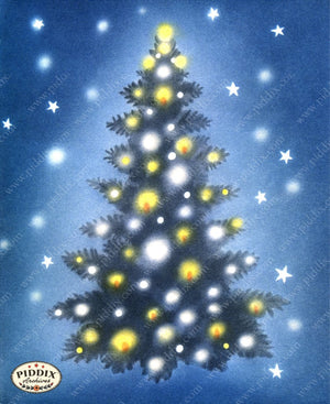 Pdxc18951A -- Christmas Trees Color Illustration