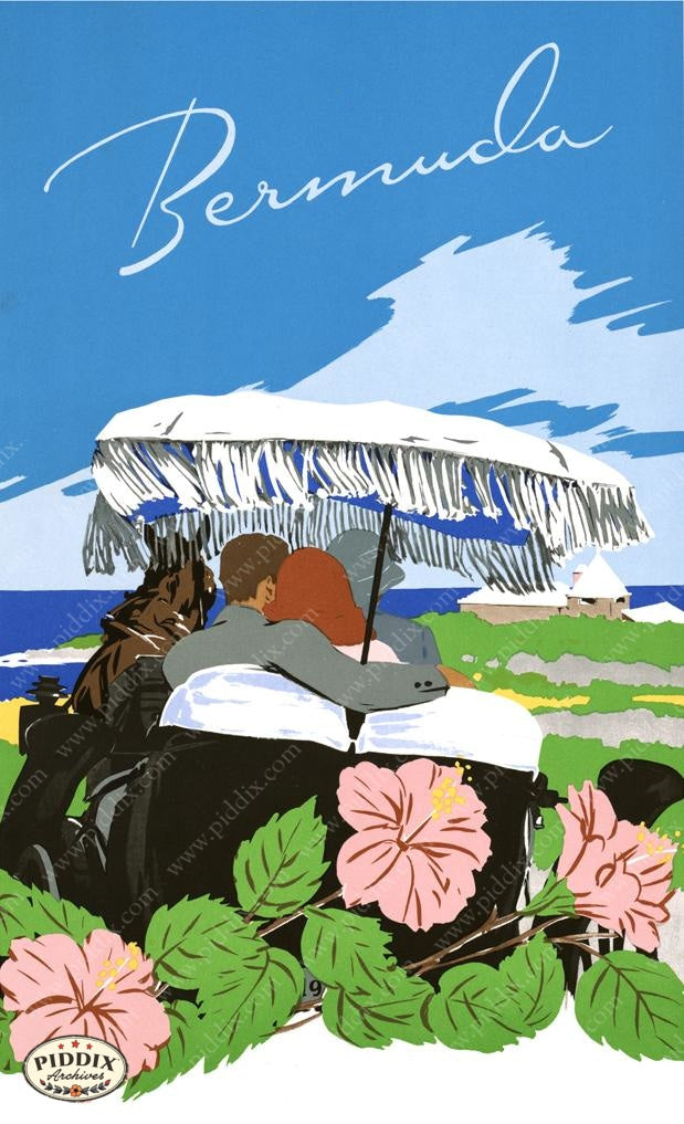 Pdxc19005 -- Vintage Travel Posters Poster