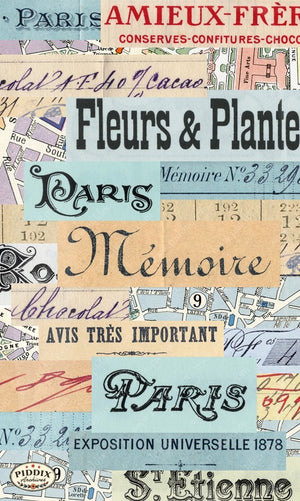 Pdxc19116 -- Paris Original Collage