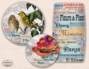 Pdxc19117 -- Paris Love Birds Original Art
