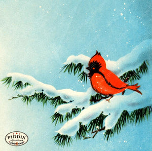 PDXC19175b -- Christmas Birds Color Illustration
